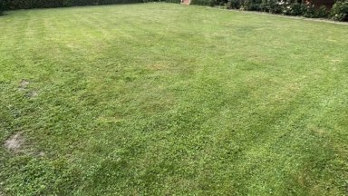 Pronájem zděné chaty se zahradou